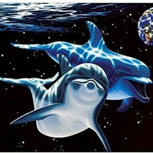 New Diamond Painting Kit